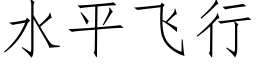 水平飛行 (仿宋矢量字庫)