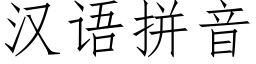 汉语拼音 (仿宋矢量字库)