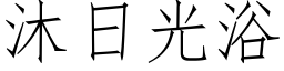 沐日光浴 (仿宋矢量字库)