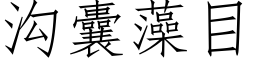 溝囊藻目 (仿宋矢量字庫)