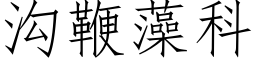 溝鞭藻科 (仿宋矢量字庫)