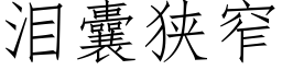 泪囊狭窄 (仿宋矢量字库)