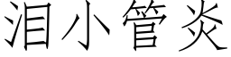 淚小管炎 (仿宋矢量字庫)