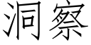 洞察 (仿宋矢量字庫)