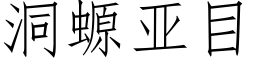 洞螈亞目 (仿宋矢量字庫)