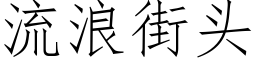 流浪街头 (仿宋矢量字库)