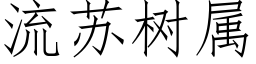 流蘇樹屬 (仿宋矢量字庫)