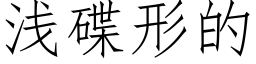 淺碟形的 (仿宋矢量字庫)