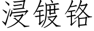 浸镀铬 (仿宋矢量字库)