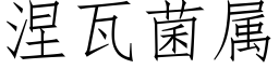 涅瓦菌属 (仿宋矢量字库)