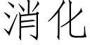 消化 (仿宋矢量字庫)