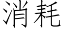 消耗 (仿宋矢量字庫)