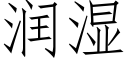 润湿 (仿宋矢量字库)