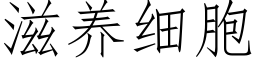 滋养细胞 (仿宋矢量字库)