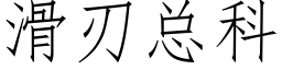 滑刃总科 (仿宋矢量字库)