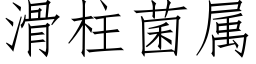 滑柱菌属 (仿宋矢量字库)