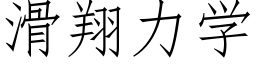 滑翔力学 (仿宋矢量字库)