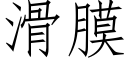 滑膜 (仿宋矢量字库)