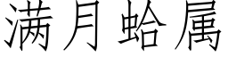 滿月蛤屬 (仿宋矢量字庫)