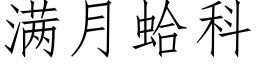 满月蛤科 (仿宋矢量字库)