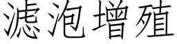 滤泡增殖 (仿宋矢量字库)