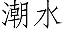 潮水 (仿宋矢量字庫)