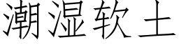 潮濕軟土 (仿宋矢量字庫)