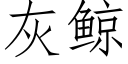 灰鲸 (仿宋矢量字庫)