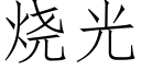 烧光 (仿宋矢量字库)