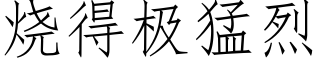 烧得极猛烈 (仿宋矢量字库)