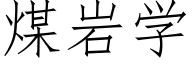 煤岩学 (仿宋矢量字库)