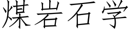 煤岩石学 (仿宋矢量字库)