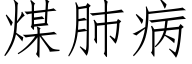 煤肺病 (仿宋矢量字庫)