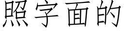 照字面的 (仿宋矢量字库)