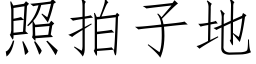 照拍子地 (仿宋矢量字庫)