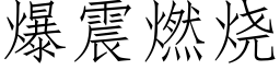 爆震燃燒 (仿宋矢量字庫)