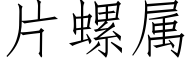 片螺属 (仿宋矢量字库)