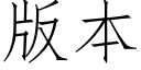 版本 (仿宋矢量字庫)