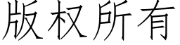 版權所有 (仿宋矢量字庫)