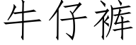 牛仔裤 (仿宋矢量字库)