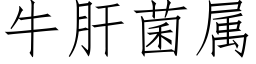 牛肝菌属 (仿宋矢量字库)