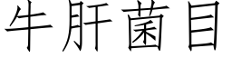 牛肝菌目 (仿宋矢量字库)