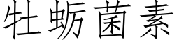 牡蛎菌素 (仿宋矢量字库)