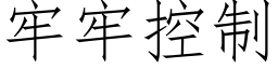 牢牢控制 (仿宋矢量字库)