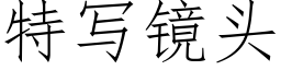 特寫鏡頭 (仿宋矢量字庫)