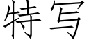 特写 (仿宋矢量字库)