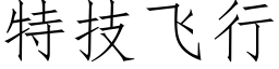 特技飞行 (仿宋矢量字库)