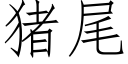 豬尾 (仿宋矢量字庫)