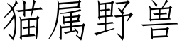 猫属野兽 (仿宋矢量字库)