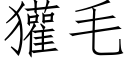 獾毛 (仿宋矢量字库)